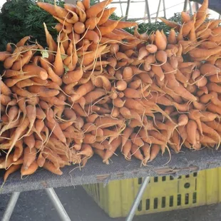  pile of carrots