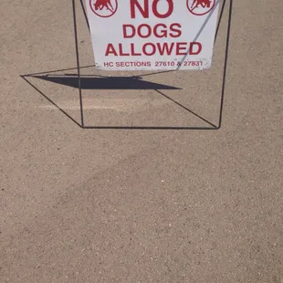 no dogs allowed sign