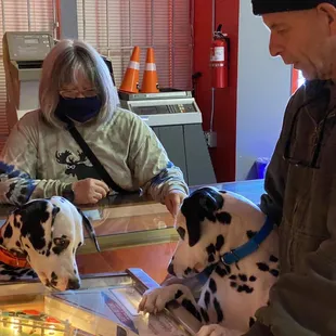 Liberty &amp; Wacko pay close attention to the ball that Mike is playing.