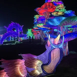 Stockton Lantern Festival Magic Forest