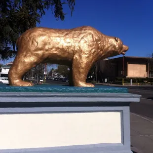 My kids' favorite at the Civic