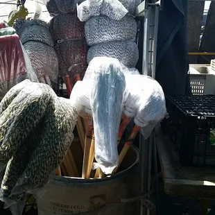 Cleaning supplies