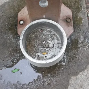 Have a doggone good day! Pet watering station.