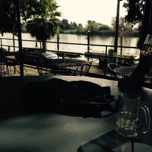 View of the Delta from the patio. Just saw a sealion. Bark!