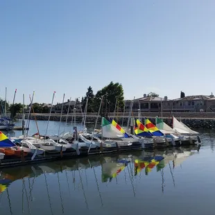 Sailing camp boats are ready to go.