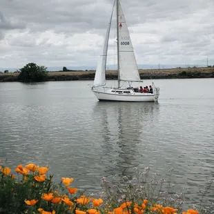 Sail away