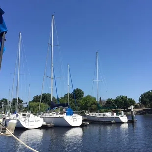 Sunny days in the Delta.