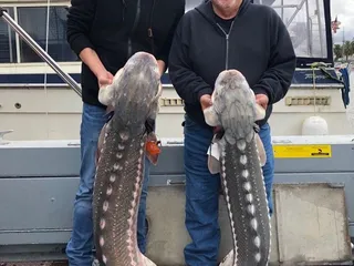 Fish Hookers