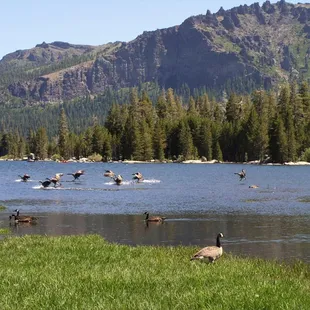 Here is a picturesque view of Silver Lake, just a short walk from camp.