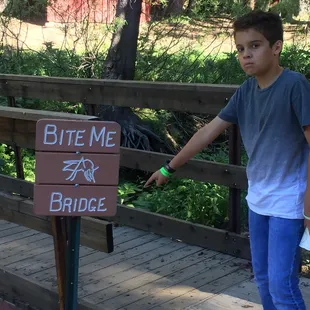 The bridge to our cabin and stream that runs past it. Oh yes tons of mosquito!!!