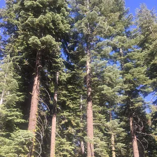 On the way there like going to Lake tahoe