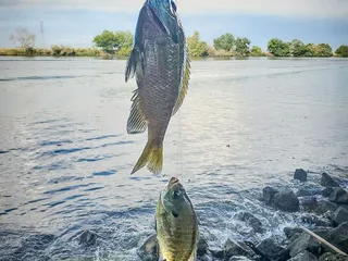 Buckley Cove Boat Launch