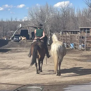 Horse riding