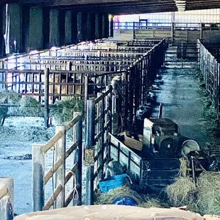 A portion of the stockyards where buyers can walk through and select quality stock info for their bidding process.