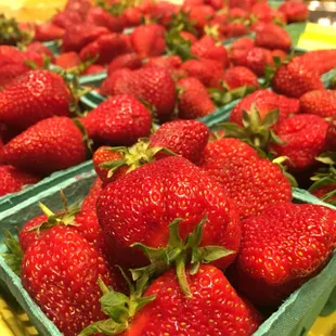 Lancaster county Fresh strawberries.