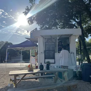 sun shining through trees