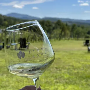 a hand holding a glass of wine