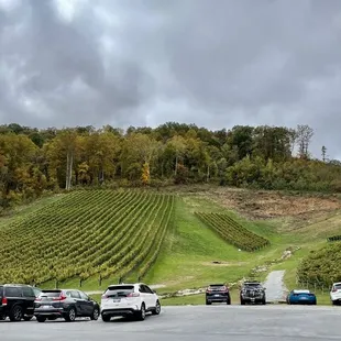 a parking lot with a vineyard in the background