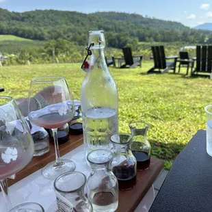 6 wine tasting flight