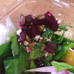 Goat Cheese and Beet Salad