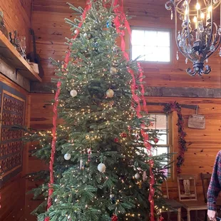 Beautiful Christmas Tree