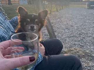 Indian Spring Winery