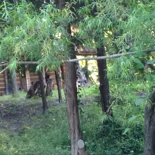 Back porch of the civil war cabin