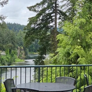 Clackamas river view