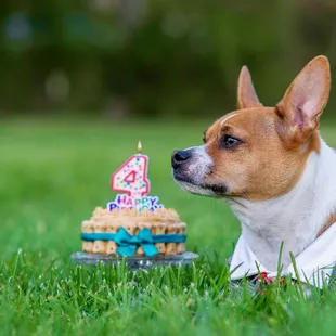 Did his birthday there. Was lots of families. All so nice