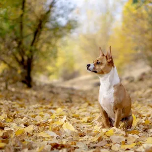 Very beautiful park. Just take a moment to see it's true colors.