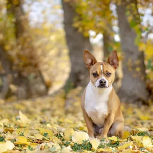 Fall time! Beautiful!