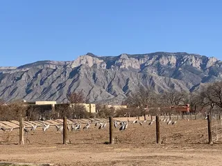 Corrales Winery