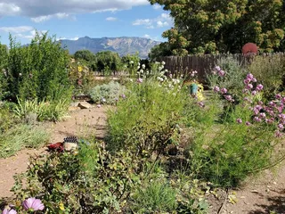 Milagro Vineyards