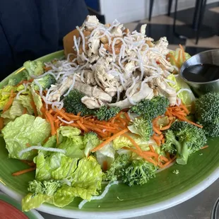 chinese chicken salad