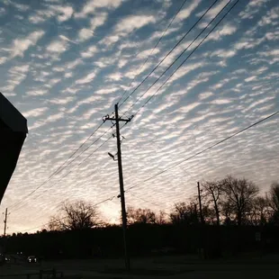 Taken along Garland Ave enroute towards grabbing a kolache.