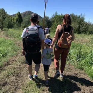 Walking south to the apple trees (Sep 2023)