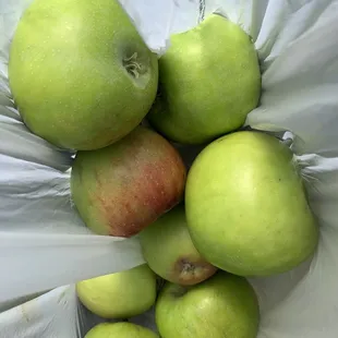 Green apples (Sep 2023)