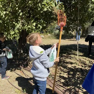 Apple picking