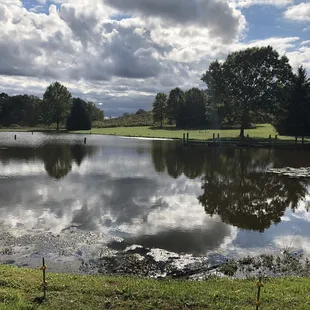 a pond and a golf course
