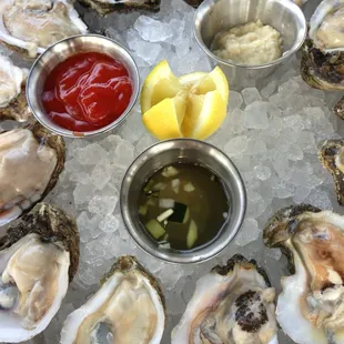 Oysters on the Half Shell