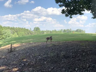 Tega Cay Golf Club