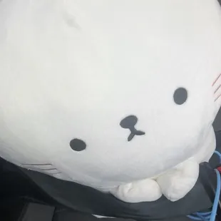 Cat because I&apos;m happy