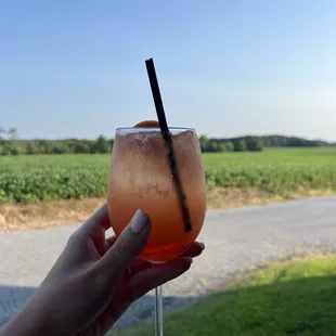 grapefruit aperol spritzer