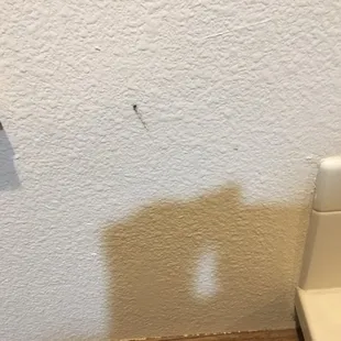 Walls had stains of previous bug killings