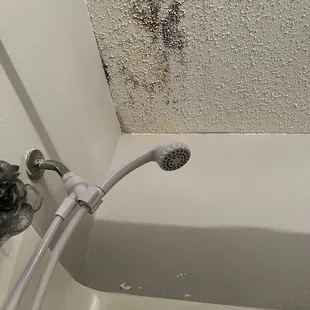 Mold