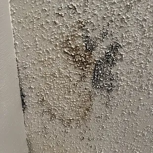 Mold