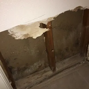 This is what my apartment looked like and all they did was cover up the mold after putting a fan on it.