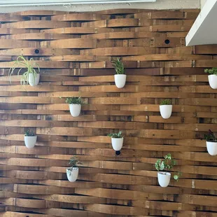 Stave &amp; plant wall