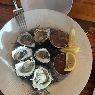 Oysters