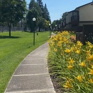 I have enjoyed living here for a couple years now. I enjoy my walks in the spring and summer along the golf course.